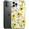 Sunflower Daisy